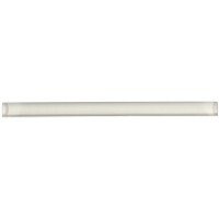 Temple Gray1x12 Polished Pencil Molding