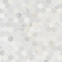 Arabescato Carrara 2X2 Hexagon Honed Mosaic