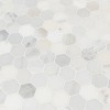 Arabescato Carrara 2X2 Hexagon Honed Mosaic-4