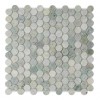 Ming Green 1X1 Penny Round Polished Mosaic