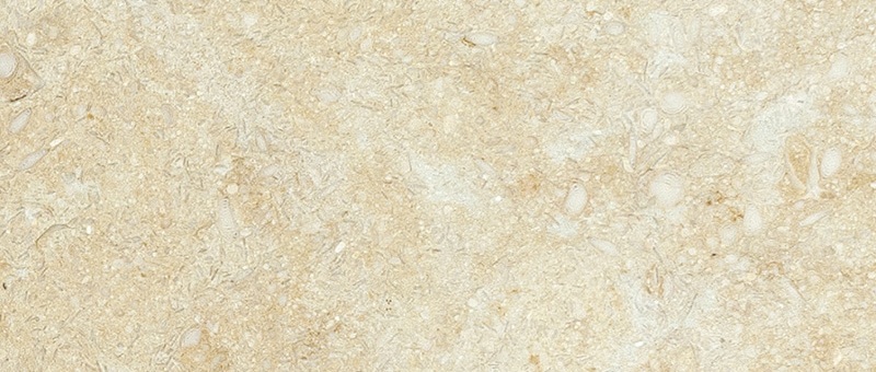 Golden Cream 3x6 Honed Marble Tile