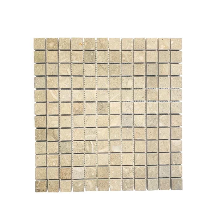 Shell Fossil 1X1 Square Honed Marble Mosaic